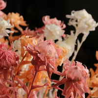 Großhandel für konservierte Orangen und Ananas für Hochzeitsblumenarrangements, Valentinstag, Muttertag, Weihnachtsdekorationen