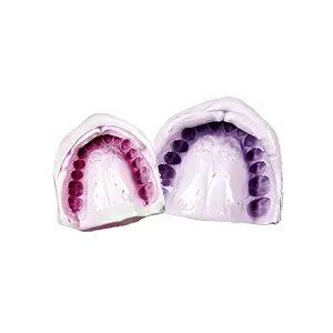 ZOGEAR TM029 alginate 치과 인상 재료 분말