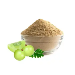 ISO chứng nhận hữu cơ Amla bột tự nhiên Amla bột từ nhà cung cấp hàng đầu Amla bột trái cây Ấn Độ ruột