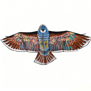 Chất Lượng Cao Eagle Diều Bay Với Giá Tốt Eagle Diều Lớn Bay Chim Diều Cho Trẻ Em Ngoài Trời Đồ Chơi Nhà Máy Giá - Product Image 1