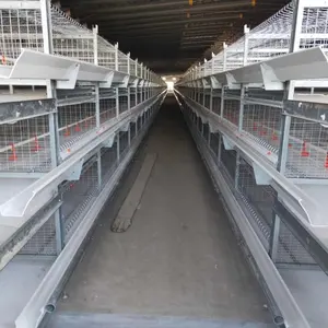 Huabang Aves pecuária equipamentos Q235 projetos casa gaiola de frangos de corte de malha de arame de aço