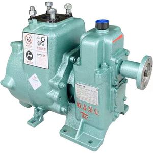 Bomba de Agua de Vacío Weilong QZB para Camión de Riego, Bomba de Motor Diésel para Reequipamiento WLQZB60 80QZB60 90V - Product Image 4