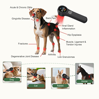 Équipement vétérinaire laser, appareil laser froid pour animaux, soulagement de la douleur, hernies discales, arthrose, récupération post-chirurgicale