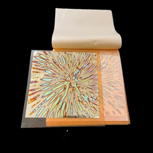Papel tapiz decorativo de hojas doradas, hojas de oro y plata, flor variegada de transferencia verde y rojo, 14x14cm, 25 uds. Por folleto - Product Image 4