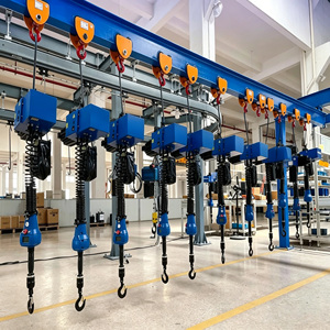 Polipasto Eléctrico de Cadena de 125 kg, Equipo de Elevación de Frecuencia Variable, Grúa de Brazo Articulado de Acero por Fabricantes de Polipastos de Cadena - Product Image 2