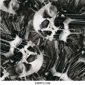 हाइड्रो डाइपिंग फिल्म खोपड़ी हाइड्रोग्राफिक वाटर ट्रांसफर प्रिंटिंग फिल्म s05swl075b उत्पाद श्रेणी हस्तांतरण पेपर और फिल्म - Product Image 4