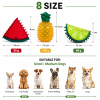 Surtido de Juguetes Masticables para Perros con Sonido, con Empaque OPP, para Regalos de Mascotas de Temporada y Exhibición en Tiendas