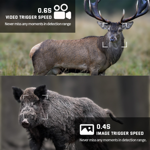 Caméra de chasse en plein air 940nm LED infrarouge <span class=keywords><strong>Trail</strong></span> IP67 Étanche Alimenté par énergie solaire/batterie 36MP CMOS 1080p/4K Prise en charge de la carte SD 512 Go - Product Image 3