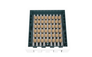 <span class=keywords><strong>Incubateur</strong></span> d'<span class=keywords><strong>oeufs</strong></span> de poule solaire 24-30000 <span class=keywords><strong>Incubateur</strong></span> d'<span class=keywords><strong>oeufs</strong></span> à température constante Écloserie - Product Image 4
