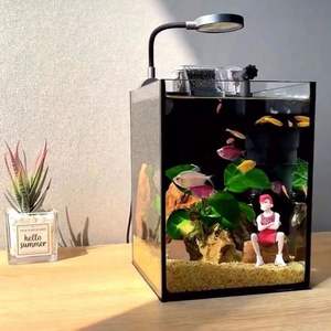 Kit <span class=keywords><strong>Acquario</strong></span> da Scrivania in Vetro Ultra-Trasparente con Filtro, Luce LED, Ecologico, a Risparmio Energetico, Adatto ai Principianti, Tutto in Uno - Product Image 1