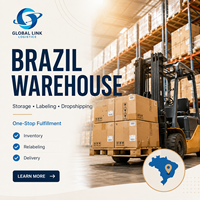 Logistique d'importation de la Chine vers le Brésil avec livraison en entrepôt DDP et distribution locale