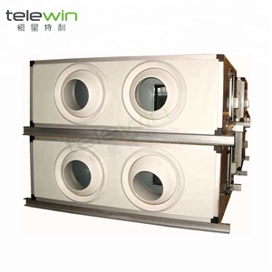 Unidad de Tratamiento de <span class=keywords><strong>Aire</strong></span> Central para <span class=keywords><strong>Restaurante</strong></span> con Difusor de Pie, Motor de CA Ecológico - Product Image 2