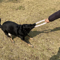 Disque volant interactif en ETPU, écologique, simple, durable, pour l'entraînement en extérieur, jouet à mâcher pour chien