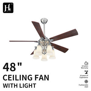 Ventilador Moderno con Motor de Corriente Continua, Luz y Control Remoto de Fabricante Chino - Product Image 2