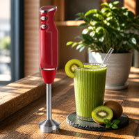 Homedaily Mixeur Plongeant 2-en-1 en Acier Inoxydable, Robot Culinaire Portable pour Smoothies et Sauces