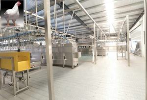 鸡肉屠宰包装机肉鸡火鸡屠宰生产线 - Product Image 6