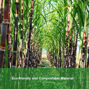 Platos <span class=keywords><strong>de</strong></span> papel a <span class=keywords><strong>precio</strong></span> <span class=keywords><strong>de</strong></span> fábrica, plato <span class=keywords><strong>de</strong></span> postre <span class=keywords><strong>de</strong></span> pastel <span class=keywords><strong>de</strong></span> Pizza <span class=keywords><strong>de</strong></span> pulpa <span class=keywords><strong>de</strong></span> <span class=keywords><strong>caña</strong></span> <span class=keywords><strong>de</strong></span> azúcar desechable <span class=keywords><strong>de</strong></span> 9 pulgadas para fiesta <span class=keywords><strong>de</strong></span> boda <span class=keywords><strong>de</strong></span> cumpleaños - Product Image 5