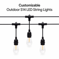 Guirlandes lumineuses LED S14 robustes pour l'extérieur, espacement des douilles personnalisable, ampoules haute tension résistantes aux intempéries, éclairage commercial pour patio