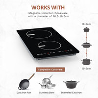 Nouveaux Modèles pour l'Amérique du Nord, Table de Cuisson à Double Induction Encastrable et de Surface, 220-240V 3400W pour Usage Domestique