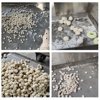Machine automatique de découpe et de division de pâte pour pains et brioches