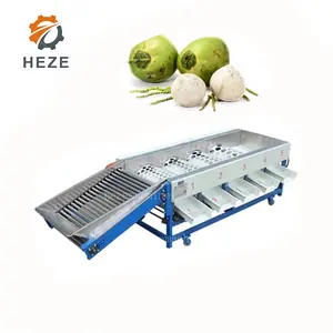 Commercial Pineapple Sorting Cherry Tomato Grader Coconut Grading Machine