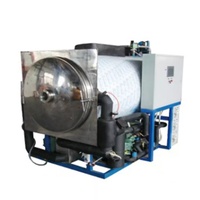 Vacuüm Groenten En Fruit Drogen Machines GZVF-12 Toption