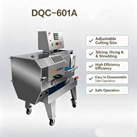 DQC-601A Multifunctionele Groente- en Vlees Snijmachine 1-60mm Verstelbare Snijder/Hakker voor Voedselverwerkingsbedrijven