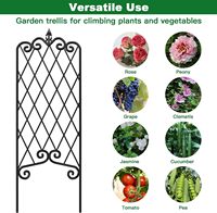 Clôture de jardin en métal inoxydable pour plantes grimpantes, roses et clématites, décorative pour cours hautes