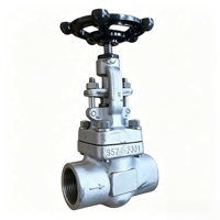 Vanne à soupape en acier inoxydable forgé 304L à filetage femelle PN20, actionnée par volant OEM pour l'alimentation et le drainage d'huile, de gaz, de produits chimiques et d'eau