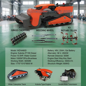 Tondeuse à gazon diesel Euro5 télécommandée, poids 600 kg, pour la sécurité des terrains de prison - Product Image 1