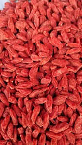 Venda por Atacado de Gou qi Zi, Frutas de Alta Qualidade da China, Variedade Completa de Wolfberry da Bássica - Product Image 5