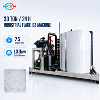 Machine à glaçons en flocons sur mesure, 30 tonnes, refroidie par eau, haute efficacité, générateur automatique de glaçons en flocons pour usine de transformation des produits de la mer