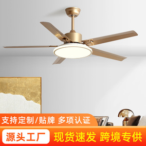 Minimalist Stainless Steel <b>Ceiling</b> Fan <b>Light</b> 56 Inch <b>Led</b> Fixed Blade For Living Room And Study - Product Image 5