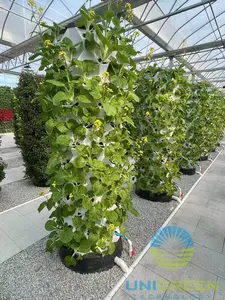 Sistema di coltivazione idroponica verticale serra per uso alimentare ABS torre giardino sistema di coltivazione ananas torre
