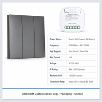 Sakelar Nirkabel RF433 Tuya WiFi Bertenaga Mandiri Tanpa Baterai Tanpa Kabel Produsen B2B OEM ODM untuk Grosir Global Pabrik Kustom