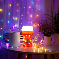 Lanterne de camping rétractable avec guirlande lumineuse, lampe d'urgence à chargement Type-C avec crochet magnétique, lumière de tente portable pour décoration de fête