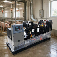 Groupe électrogène diesel Weichai 200 kW 250 kVA super silencieux de type ouvert avec démarrage automatique ATS refroidi par eau |   Générateur diesel à vendre