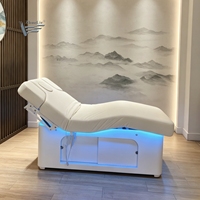 Table de massage électrique pour soins spa, 2 moteurs, lit de thérapie réglable, lit de beauté cosmétique, lit d'esthétique pour salon