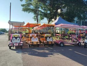 Scenic Square Park Beach 4 personas 2 personas Tour autobús turístico - Product Image 5