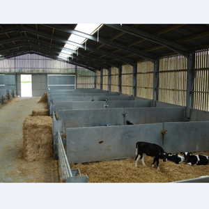 Edificio De Granja Lechera Con Estructura De Acero Prefabricada Batiment De Ferme Laitiere En Acero - Product Image 3