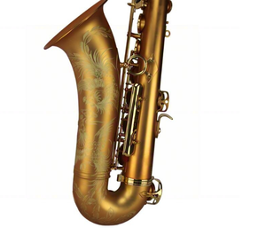 <span class=keywords><strong>Saxophone</strong></span> <span class=keywords><strong>ténor</strong></span> professionnel Bb Eastern Music TS310DJ, entièrement martelé à la main, finition <span class=keywords><strong>vintage</strong></span> satinée or mat, gravé à la main - Product Image 3