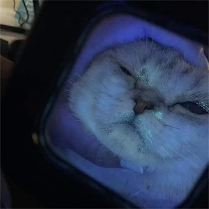 Veterinary Medical Wood Lamp Skin Examination Wood's Ultraviolet Light for Skin Diagnosis and Analysis - Product Image 5