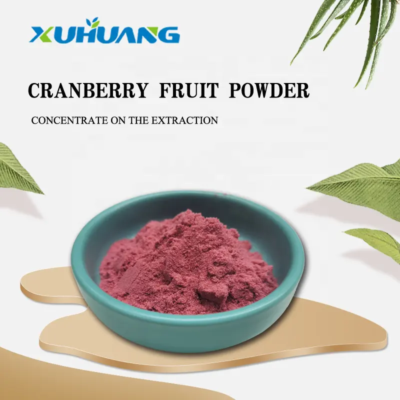 Hoge kwaliteit cranberry poeder met Goede water oplosbaarheid en sterke smaak