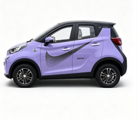 BAIMA 2026 Mini Voiture Électrique Intelligente 5 Places 3500W Batterie Plomb-Acide Lithium Caméra de Recul Jantes en Aluminium