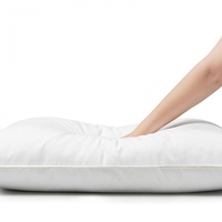 Oreiller de voyage de luxe pour hôtel boutique, forme personnalisée, insert en coton 100 %, hypoallergénique, durable, ajoute une touche décorative unique