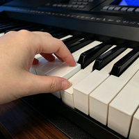 OEM Small Electronic Organ Acceptable Musical Instrument Keyboard Toy Customizable Electronic Keyboard Instruments