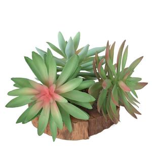 Piante Artificiali da Appendere per Esterni, Piante Artificiali di Alta Qualità per Giardino, Fioriere Rialzate 3D per Piante Succulente - Product Image 5