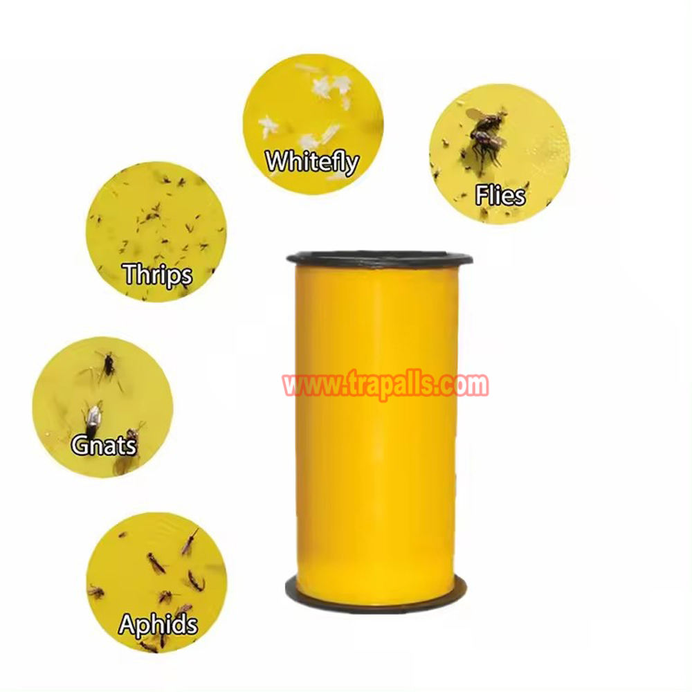 สีเหลือง