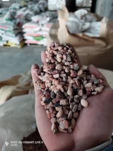 Adoquín y guijarro de piedra natural pulida de gravas rosas perfectas para paisaje de jardín de Villa directo del proveedor de Vietnam - Product Image 5