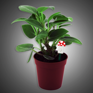 Capteur d'humidité du sol, humidimètre de sol en forme de champignon - Product Image 6